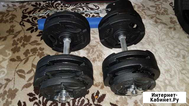 Гантель разборная 27,5кг Нижний Новгород - изображение 1