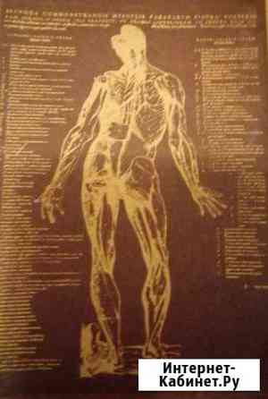Анатомия человека Краев А.В. издание 1978 года Благовещенск