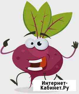 Продам красную столовую свеклу Строитель