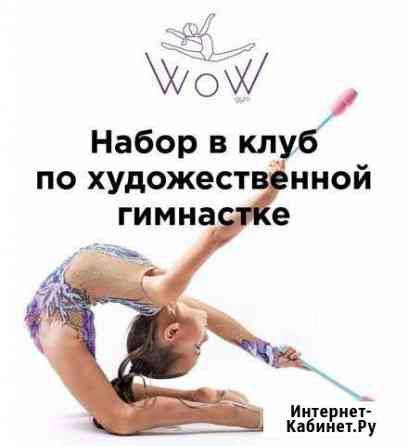 Художественная гимнастика Солнечногорск