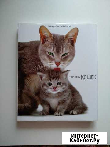 Подарочная книга «Жизнь кошек» Жуковский - изображение 1