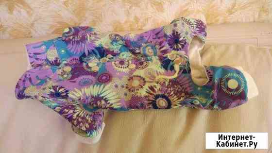 Комбинезон для собачки Казань