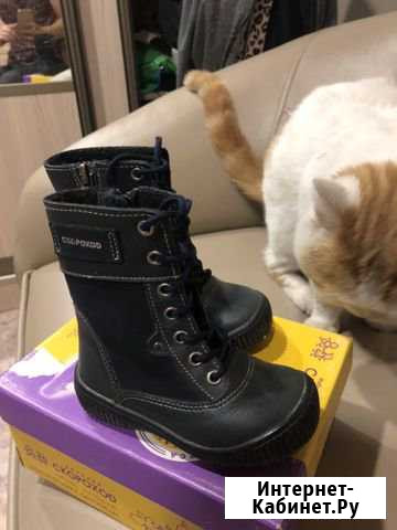 Сапожки осень-весна на байке Улан-Удэ - изображение 1