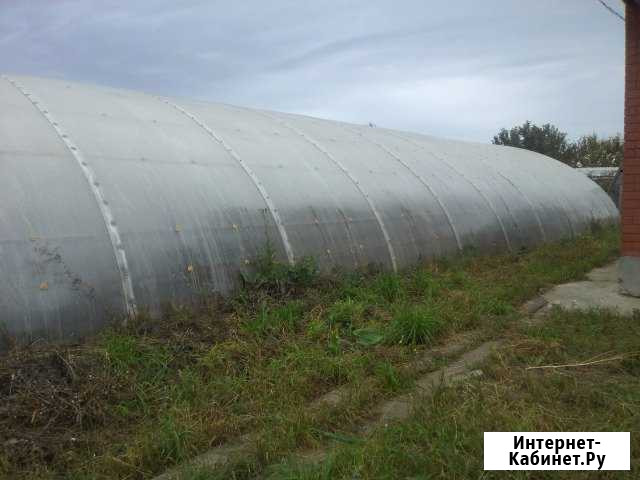 Сдам или продам производственную теплицу Новые Зори - изображение 1