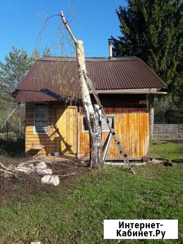 Участок 6 сот. (СНТ, ДНП) Мурыгино - изображение 1