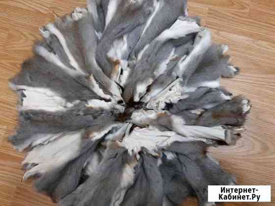 Шкуры белки Киров