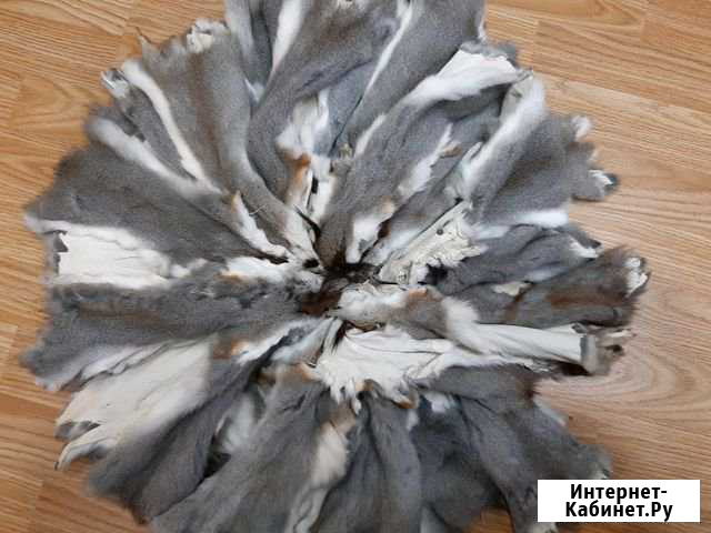 Шкуры белки Киров - изображение 1