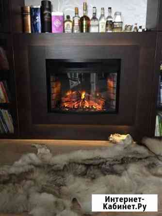 Волчья шкура Новосибирск