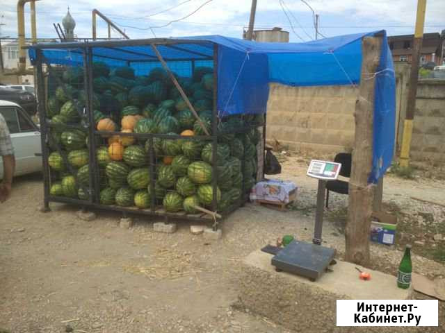 Клетка Буйнакск - изображение 1