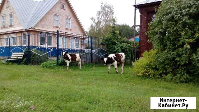 Продается фермерское хозяйство (частное подворье) Москва - изображение 1