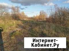 Участок 10.4 сот. (ИЖС) Старая Русса - изображение 1