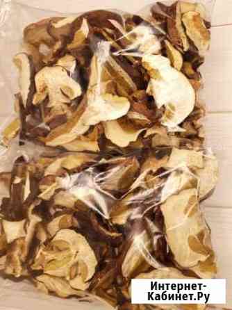 Белые грибы Кемерово