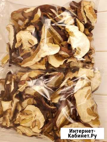 Белые грибы Кемерово - изображение 1