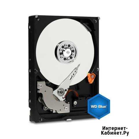 Новые жесткий диск western digital WD blue 1 TB (W Ульяновск - изображение 1