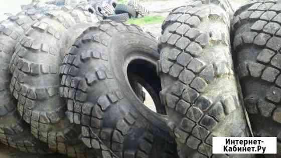 Колеса 18,00,24 (ураган) Омск