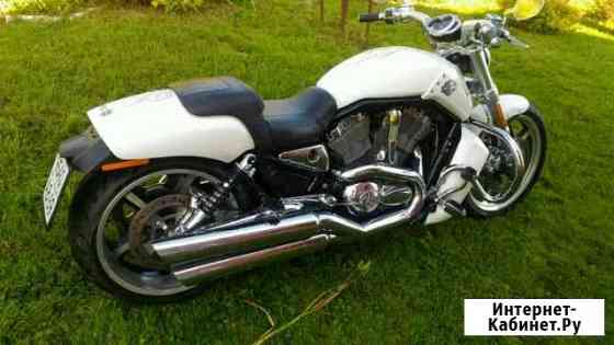 Harley-davidson V rod кастом Тверь