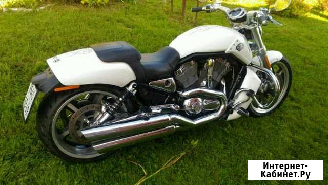 Harley-davidson V rod кастом Тверь - изображение 1