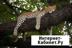 Место для содержания животных Казань