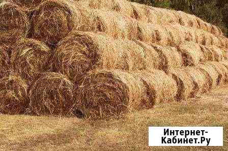 Луговое сено Сегежа
