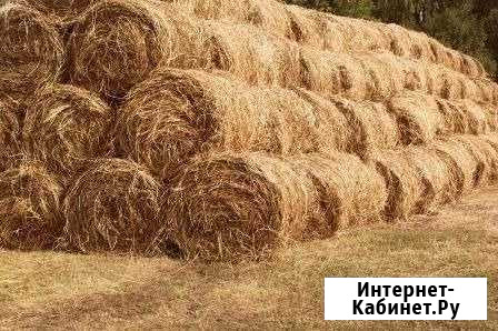Луговое сено Сегежа - изображение 1