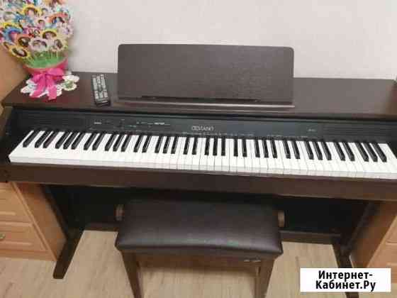 Цифровое пианино Casio Celviano AP-250 Кингисепп