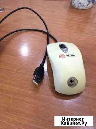 Мышь оптическая usb Оренбург