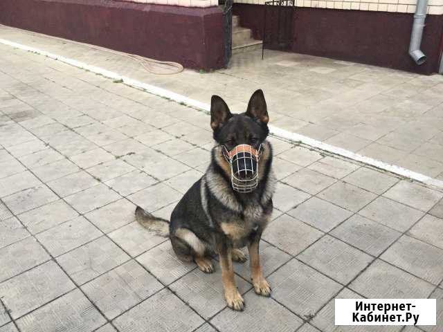 Вязка Россошь - изображение 1