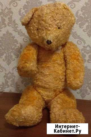 Медведь из СССР Кострома - изображение 1