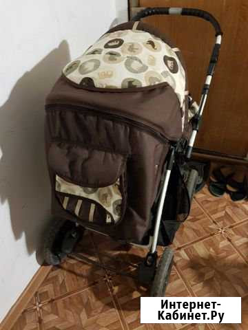 Коляска Махачкала - изображение 1