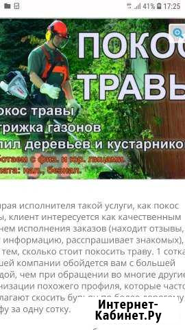 Покос травы Тульский - изображение 1