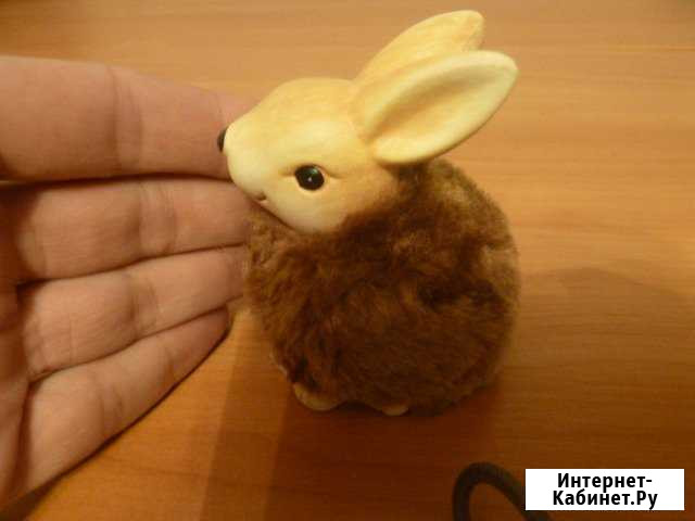 Кролик декоративный Мурманск - изображение 1