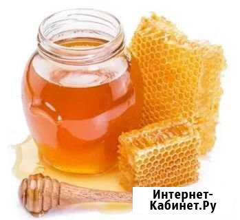 Мёд Архангельск - изображение 1