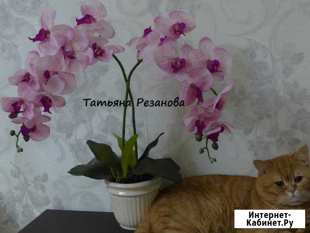 Орхидея фаленопсис, имитация,латекс Печерск - изображение 1