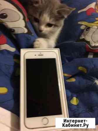 iPhone 6 Октябрьский