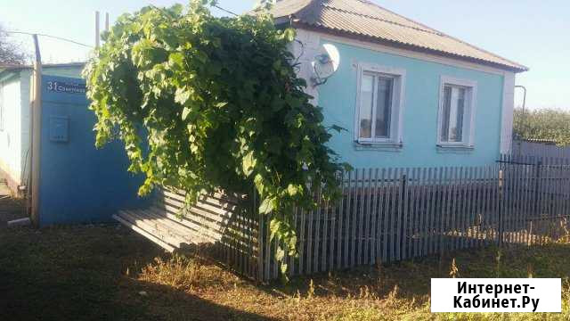 Дом 64 кв.м. на участке 46 сот. Репьевка - изображение 1