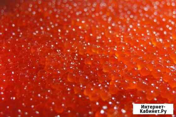 Икра Кижуча Петропавловск-Камчатский