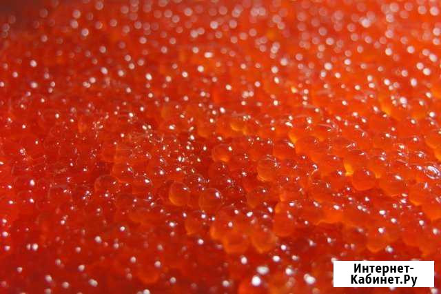 Икра Кижуча Петропавловск-Камчатский - изображение 1