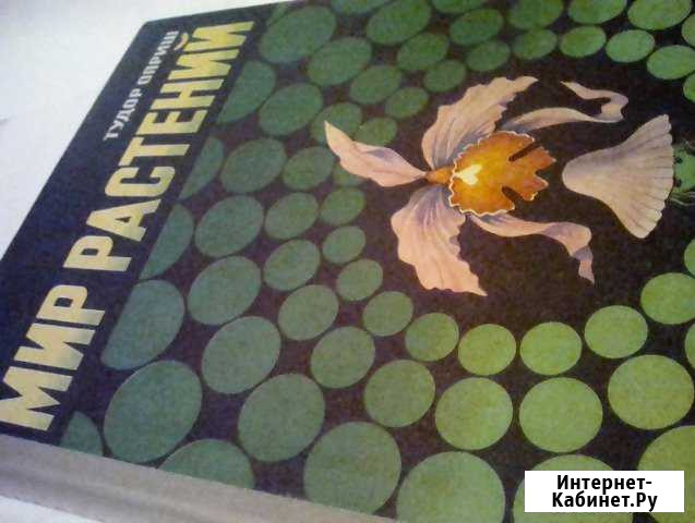 Мир растений Нижний Новгород - изображение 1