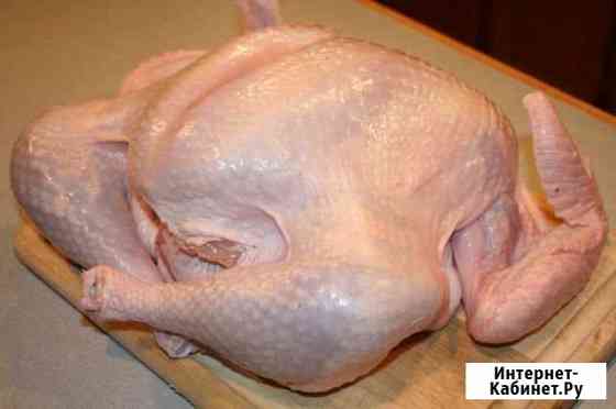 Индейка Ставрополь