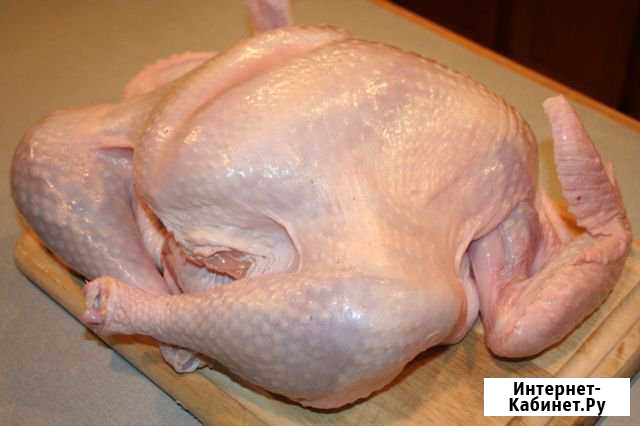 Индейка Ставрополь - изображение 1