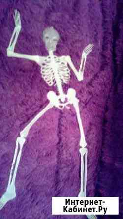 Скелет декор светится в темноте Ульяновск