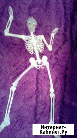 Скелет декор светится в темноте Ульяновск - изображение 1