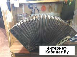 Гармонь. Цена договорная Бологое - изображение 1