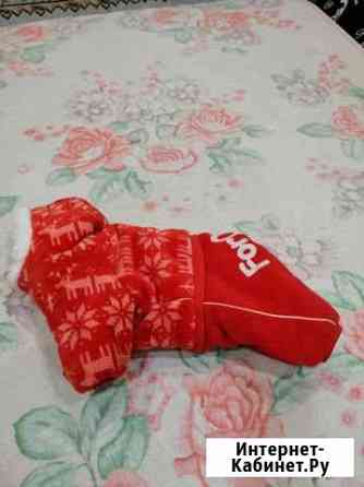 Шуба Владимир