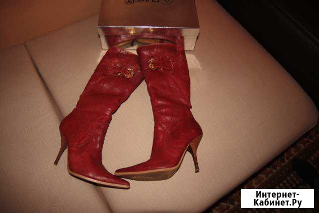 Женские сапоги зимние Липецк - изображение 1