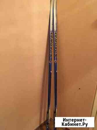 Беговые лыжи Мурманск