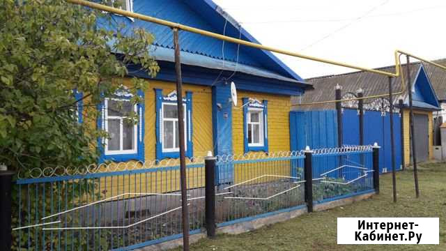 Дом 73 кв.м. на участке 26 сот. Кукмор - изображение 1
