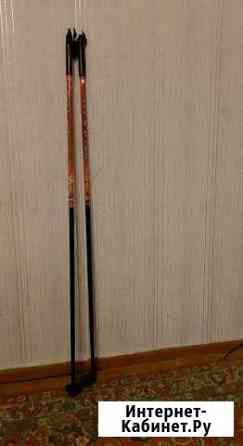 Лыжные палки Вологда
