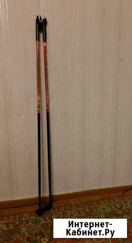 Лыжные палки Вологда - изображение 1