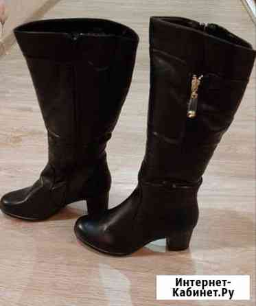 Сапоги женские Зима Оренбург